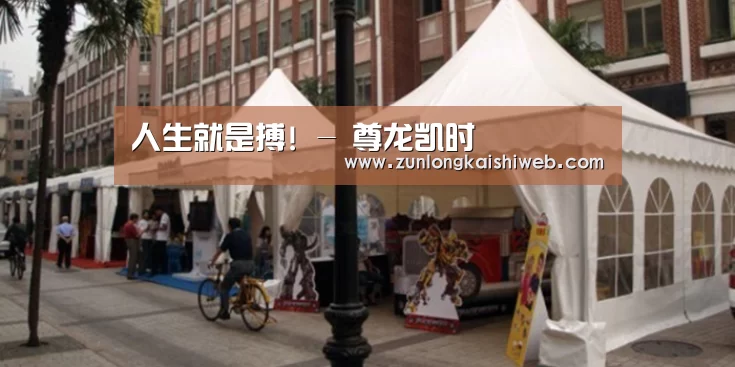 案例标题九