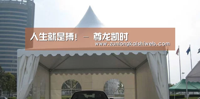 案例标题八