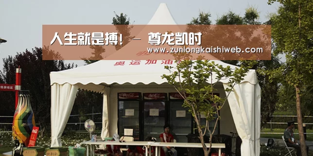 案例标题五
