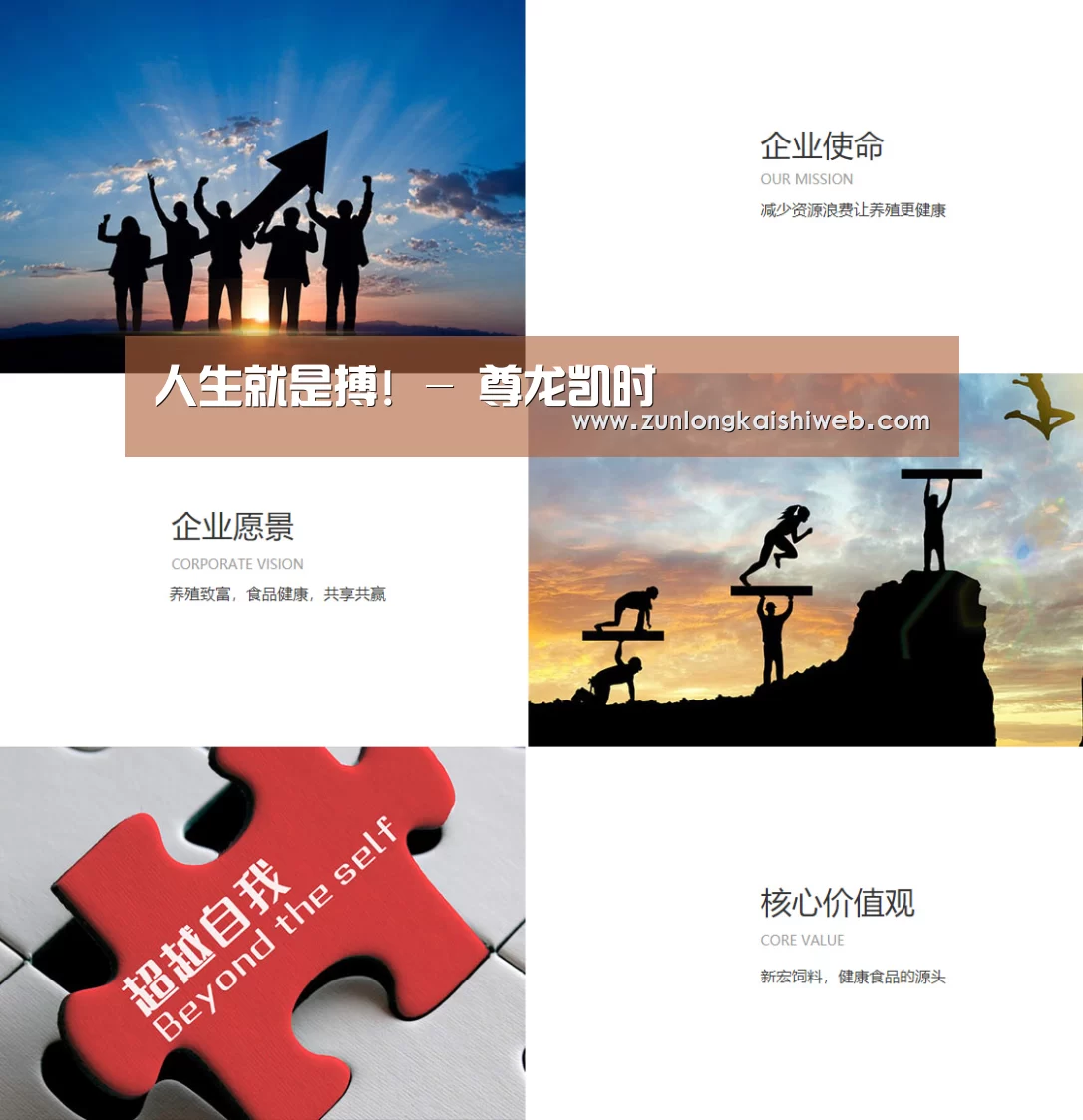 企业文化(图1)