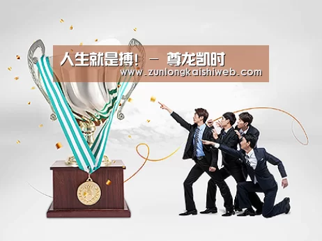 荣誉资质标题五