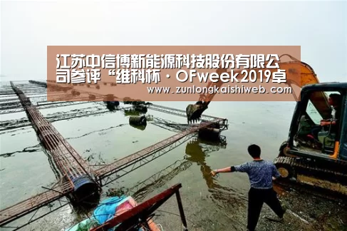 江苏中信博新能源科技股份有限公司参评“维科杯·OFweek2019卓越海外市场表现企业奖”-尊龙凯时(图2) 尊龙凯时官网