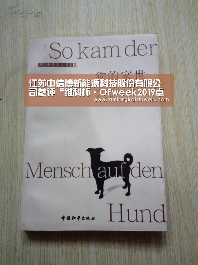 江苏中信博新能源科技股份有限公司参评“维科杯·OFweek2019卓越海外市场表现企业奖”-尊龙凯时(图4) 尊龙凯时官网