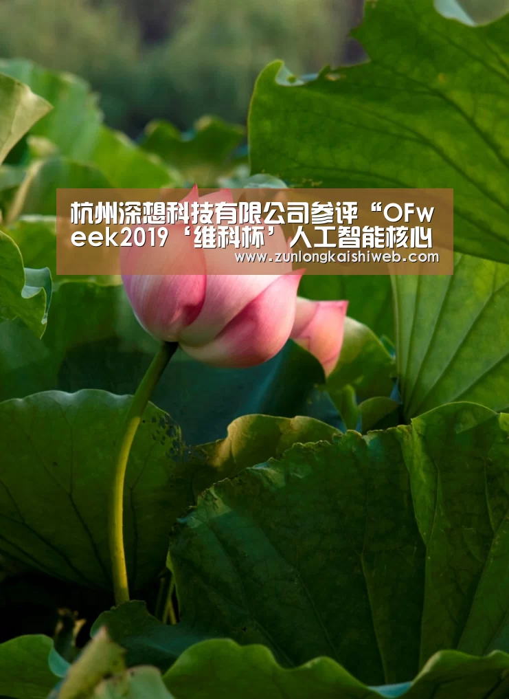 尊龙凯时人生就是搏