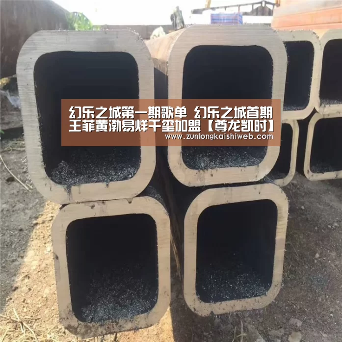 幻乐之城第一期歌单 幻乐之城首期王菲黄渤易烊千玺加盟【尊龙凯时】(图3) 尊龙凯时app