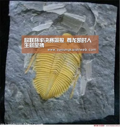 欧联杯半决赛简报_尊龙凯时人生就是搏(图4) 尊龙凯时app