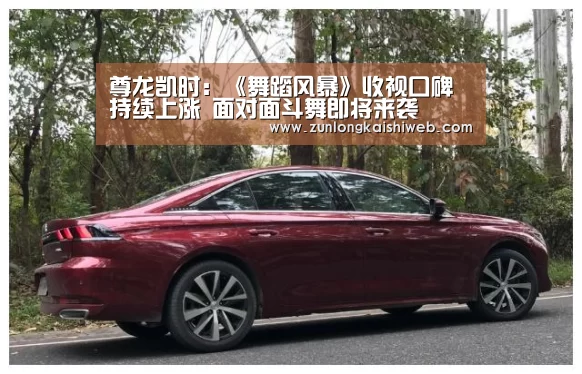 尊龙凯时:《舞蹈风暴》收视口碑持续上涨 面对面斗舞即将来袭(图4) 尊龙凯时