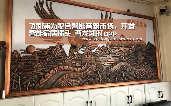 飞利浦为配合智能音箱市场,开发智能家居插头_尊龙凯时app(图1) 尊龙凯时官网