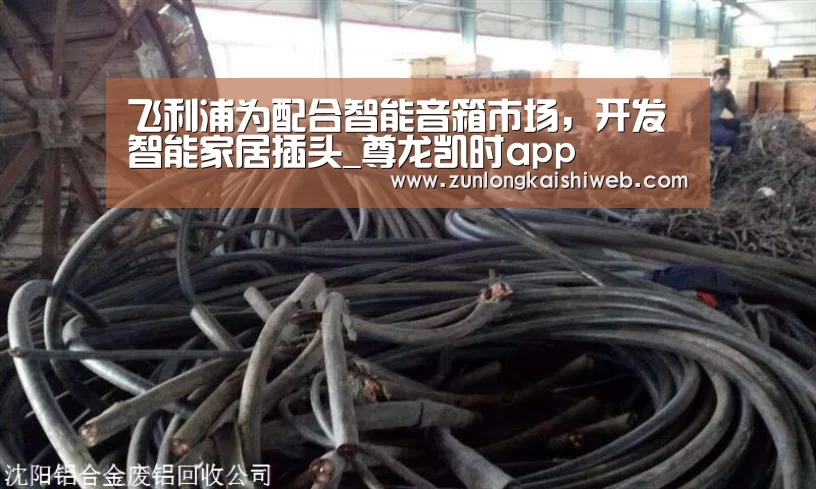 飞利浦为配合智能音箱市场,开发智能家居插头_尊龙凯时app(图2) 尊龙凯时