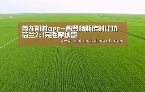 尊龙凯时app-普罗梅斯传射建功 荷兰2:1完胜摩纳哥(图2) 尊龙凯时人生就是搏