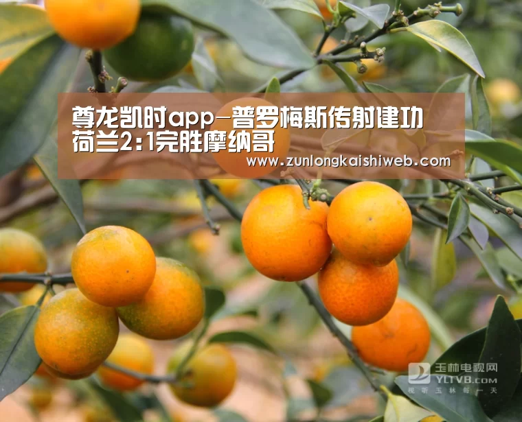 尊龙凯时app-普罗梅斯传射建功 荷兰2:1完胜摩纳哥(图1) 尊龙凯时人生就是搏