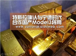 特斯拉确认与宁德时代合作国产Model3将用上国产电池“尊龙凯时app”(图1) 尊龙凯时人生就是搏