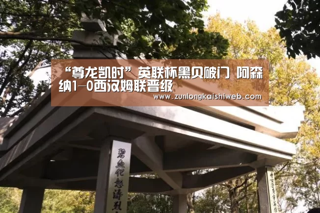 “尊龙凯时”英联杯黑贝破门 阿森纳1-0西汉姆联晋级(图4) 尊龙凯时官网