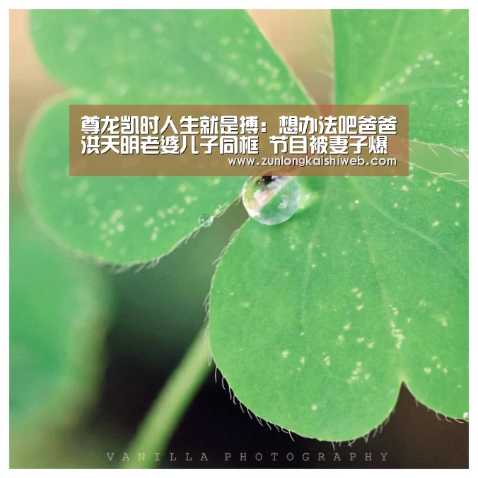 尊龙凯时人生就是搏:想办法吧爸爸洪天明老婆儿子同框 节目被妻子爆料脾气差(图4) 尊龙凯时